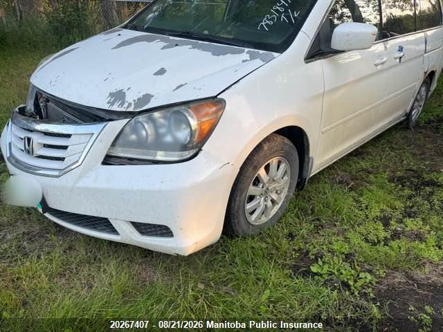 20267407 :رقم المزاد ، 5FNRL38739B501917 vin ، 2009 Honda Odyssey Ex-l Ex-l مزاد بيع