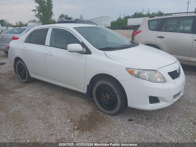 2010 Toyota Corolla Ce მანქანა იყიდება აუქციონზე, vin: 2T1BU4EE4AC272941, აუქციონის ნომერი: 20267525
