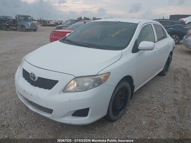 2010 Toyota Corolla Ce მანქანა იყიდება აუქციონზე, vin: 2T1BU4EE4AC272941, აუქციონის ნომერი: 20267525