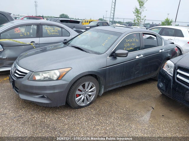 2011 Honda Accord Ex-l V6 მანქანა იყიდება აუქციონზე, vin: 1HGCP3F88BA800843, აუქციონის ნომერი: 20267531