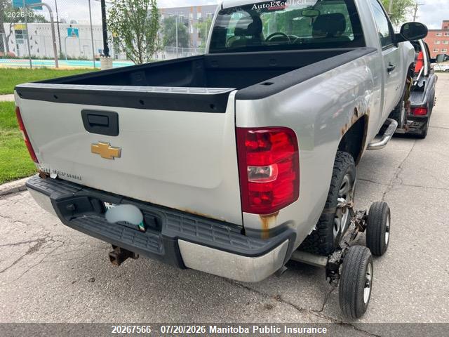 20267566 :رقم المزاد ، 1GCNCPEX5DZ398853 vin ، 2013 Chevrolet Silverado 1500 Wt مزاد بيع