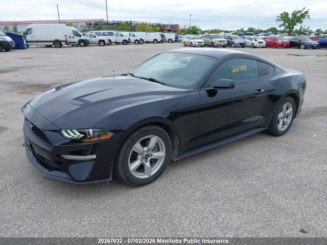 Продаж на аукціоні авто 2019 Ford Mustang, vin: 1FA6P8TH3K5154574, номер лоту: 20267632