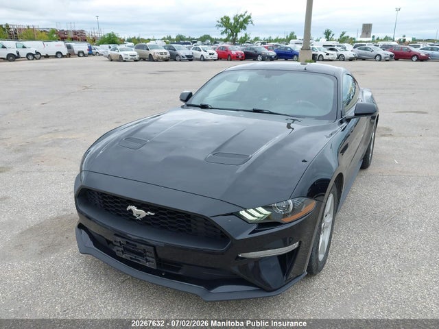 Продаж на аукціоні авто 2019 Ford Mustang, vin: 1FA6P8TH3K5154574, номер лоту: 20267632