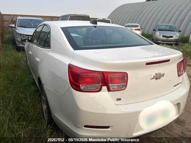 1G11B5SA1GF125560 Chevrolet Malibu Limited Ls