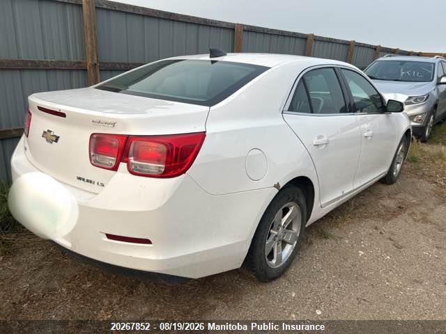 1G11B5SA1GF125560 Chevrolet Malibu Limited Ls