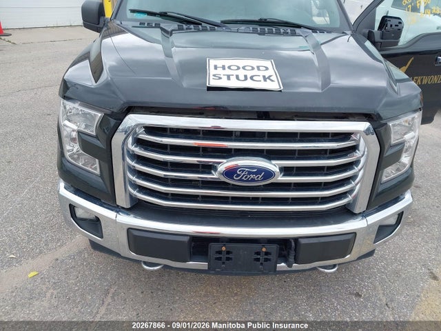 Продаж на аукціоні авто 2017 Ford F150 Xlt Supercrew, vin: 1FTEW1EG2HFB14221, номер лоту: 20267866
