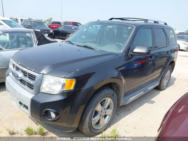 Продажа на аукционе авто 2011 Ford Escape Xlt V6, vin: 1FMCU9EG2BKB07419, номер лота: 20268006