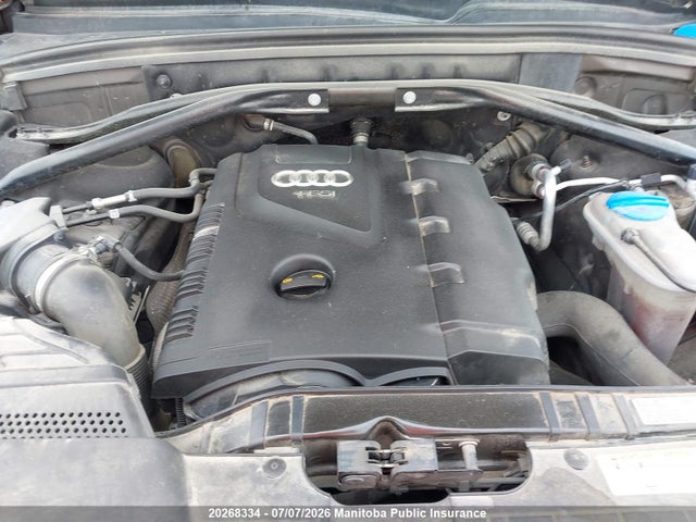 20268334 :رقم المزاد ، WA1LFCFP6DA098768 vin ، 2013 Audi Q5 مزاد بيع