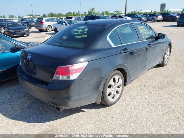 2010 Honda Accord Ex-l მანქანა იყიდება აუქციონზე, vin: 1HGCP2F86AA802924, აუქციონის ნომერი: 20268341