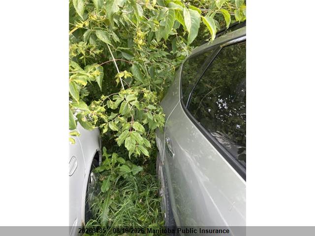 Aukcja sprzedaży 2003 Nissan Murano Sl, vin: JN8AZ08W93W203848, numer aukcji: 20268485