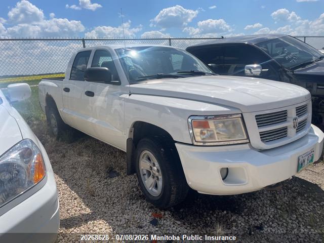 20268628 :رقم المزاد ، 1D3HE38K49S769539 vin ، 2009 Dodge Dakota Sxt Crew Cab مزاد بيع