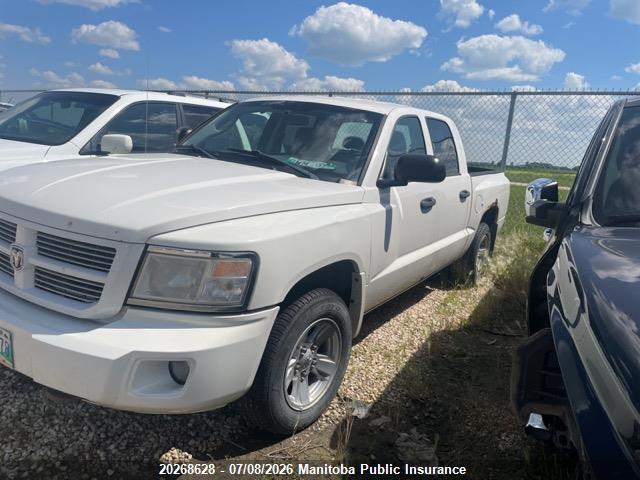 2009 Dodge Dakota Sxt Crew Cab მანქანა იყიდება აუქციონზე, vin: 1D3HE38K49S769539, აუქციონის ნომერი: 20268628
