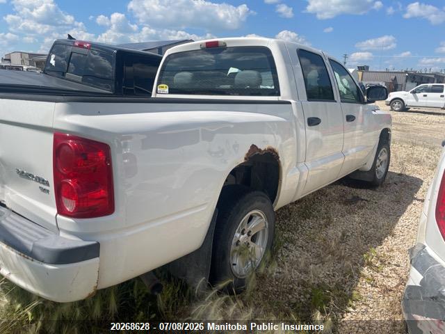 2009 Dodge Dakota Sxt Crew Cab მანქანა იყიდება აუქციონზე, vin: 1D3HE38K49S769539, აუქციონის ნომერი: 20268628
