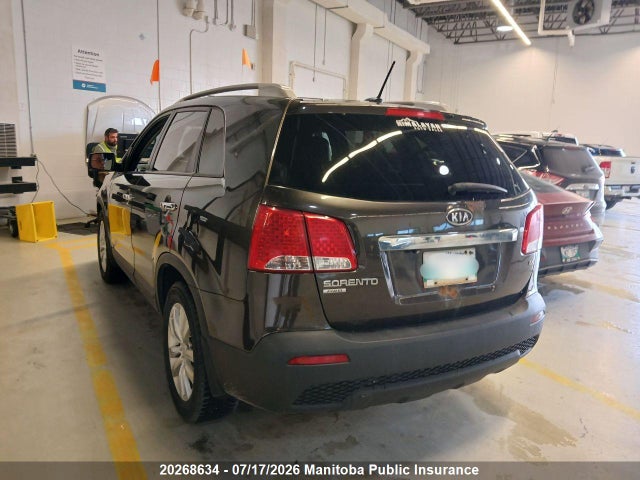 2011 Kia Sorento Ex მანქანა იყიდება აუქციონზე, vin: 5XYKUCA17BG142607, აუქციონის ნომერი: 20268634