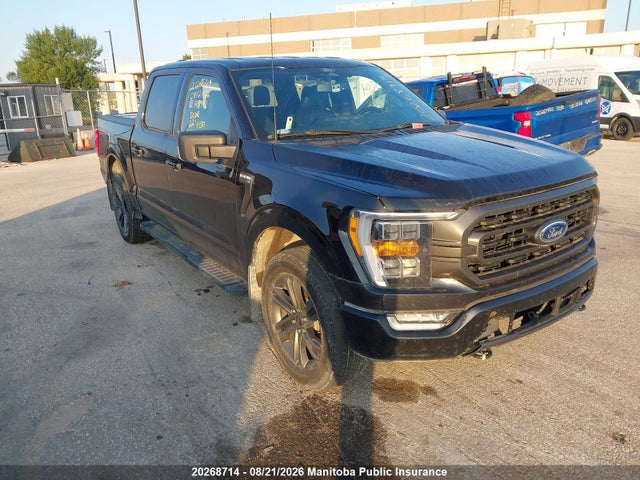 1FTFW1E51NKF18942 Ford F150 Xlt Supercrew