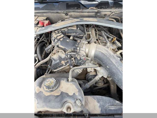 Ford Mustang 2014 1ZVBP8AM8E5312482 Image 10