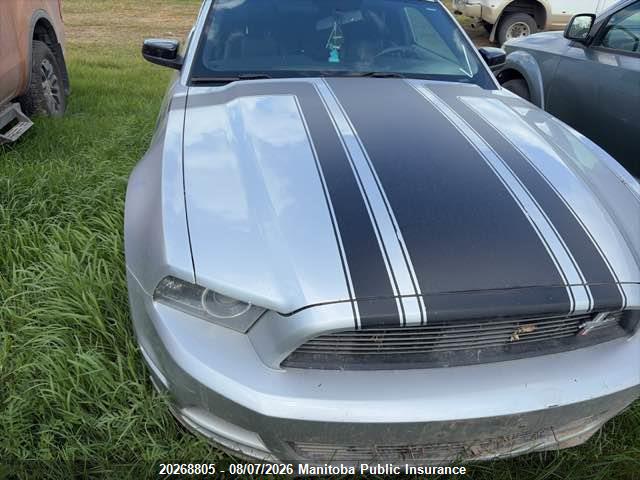 Ford Mustang 2014 1ZVBP8AM8E5312482 Image 11