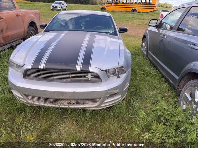 Ford Mustang 2014 1ZVBP8AM8E5312482 Image 12