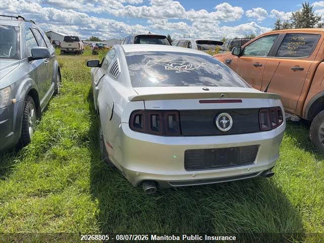 Ford Mustang 2014 1ZVBP8AM8E5312482 Image 3