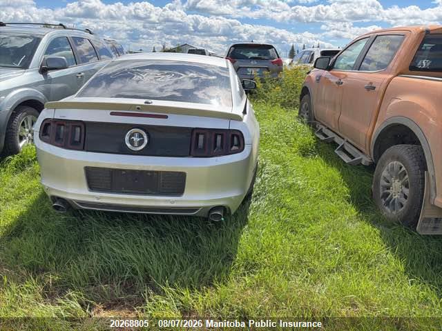 Ford Mustang 2014 1ZVBP8AM8E5312482 Image 4