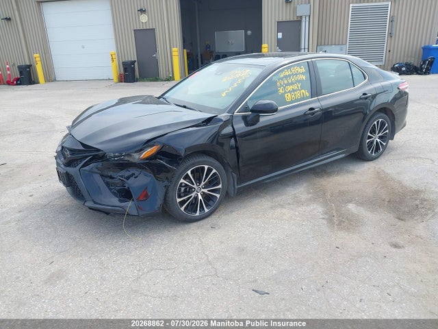 4T1J11AK3LU878196 Toyota CAMRY SE