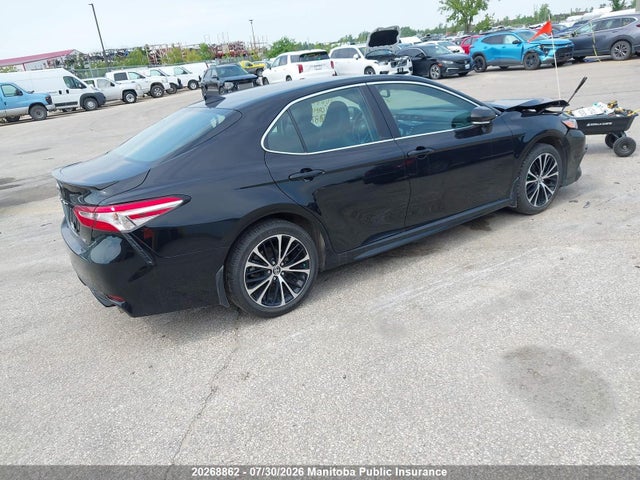 4T1J11AK3LU878196 Toyota CAMRY SE