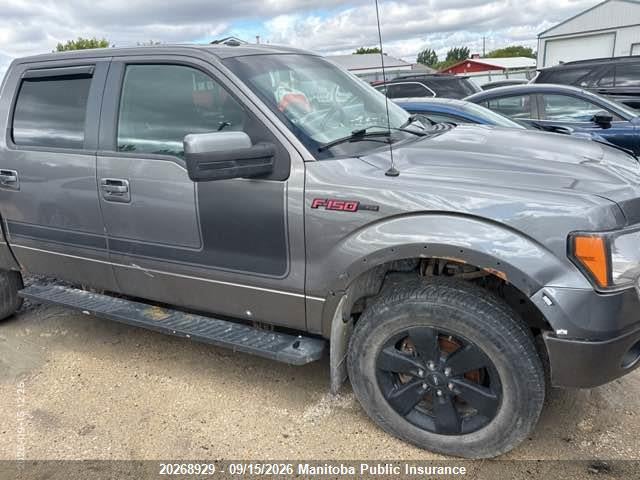 Продаж на аукціоні авто 2013 Ford F150 Fx4 Supercrew, vin: 1FTFW1EF9DFC81987, номер лоту: 20268929
