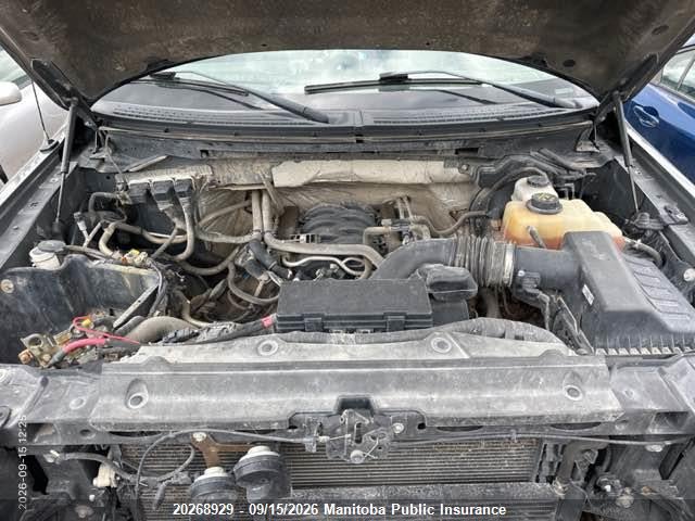 20268929 :رقم المزاد ، 1FTFW1EF9DFC81987 vin ، 2013 Ford F150 Fx4 Supercrew مزاد بيع
