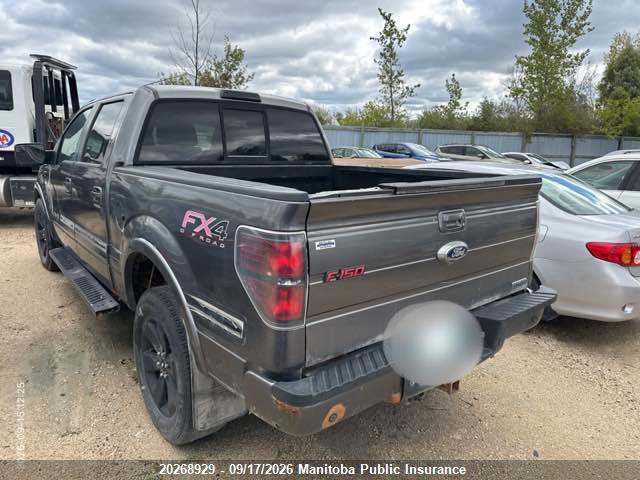 20268929 :رقم المزاد ، 1FTFW1EF9DFC81987 vin ، 2013 Ford F150 Fx4 Supercrew مزاد بيع