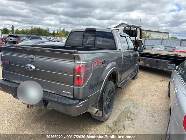 20268929 :رقم المزاد ، 1FTFW1EF9DFC81987 vin ، 2013 Ford F150 Fx4 Supercrew مزاد بيع