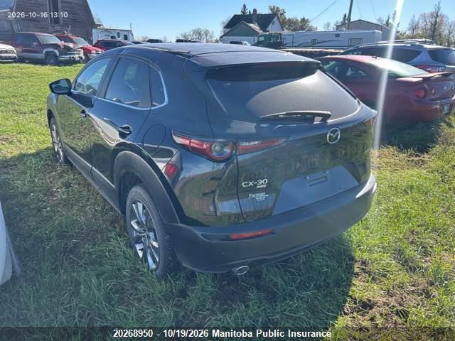 Mazda Cx-30 Gs 2025 3MVDMBCM0SM868207 Image 3