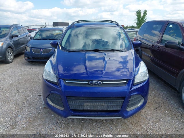 Ford ESCAPE SE 2014 1FMCU0G96EUA32727 Image 12