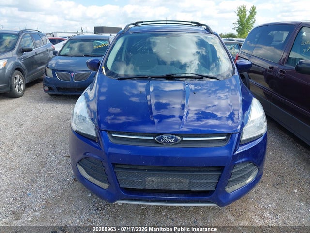 Ford ESCAPE SE 2014 1FMCU0G96EUA32727 Image 6