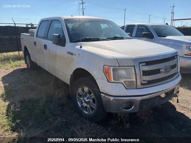 Продаж на аукціоні авто 2013 Ford F150 Xlt Supercrew, vin: 1FTFW1ET6DFB85059, номер лоту: 20268994