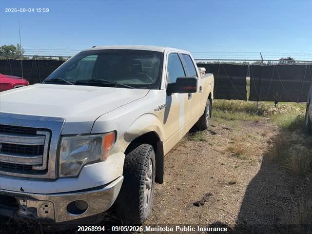 Продаж на аукціоні авто 2013 Ford F150 Xlt Supercrew, vin: 1FTFW1ET6DFB85059, номер лоту: 20268994