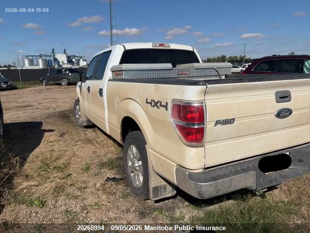 Продаж на аукціоні авто 2013 Ford F150 Xlt Supercrew, vin: 1FTFW1ET6DFB85059, номер лоту: 20268994