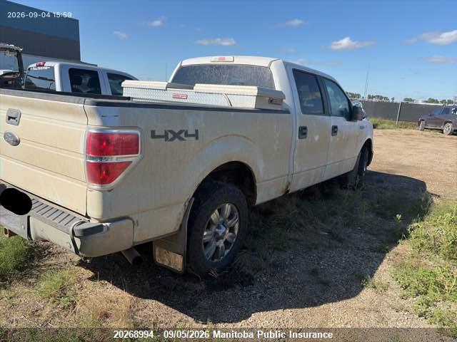 Продаж на аукціоні авто 2013 Ford F150 Xlt Supercrew, vin: 1FTFW1ET6DFB85059, номер лоту: 20268994