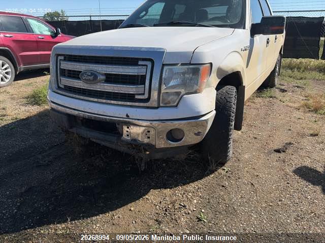 Продаж на аукціоні авто 2013 Ford F150 Xlt Supercrew, vin: 1FTFW1ET6DFB85059, номер лоту: 20268994