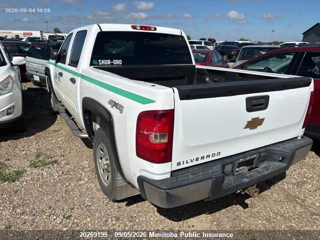 2011 Chevrolet Silverado 1500 Ls Crew Cab მანქანა იყიდება აუქციონზე, vin: 3GCPKREAXBG386729, აუქციონის ნომერი: 20269199