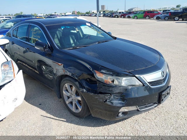 20269377 :رقم المزاد ، 19UUA8F52CA801366 vin ، 2012 Acura Tl مزاد بيع