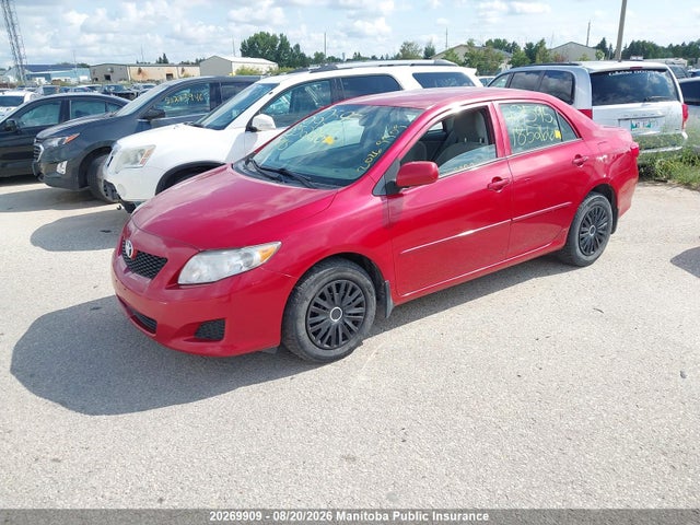 2010 Toyota Corolla Ce მანქანა იყიდება აუქციონზე, vin: 2T1BU4EE2AC210177, აუქციონის ნომერი: 20269909