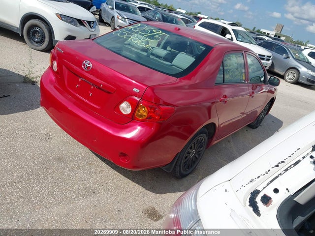 2010 Toyota Corolla Ce მანქანა იყიდება აუქციონზე, vin: 2T1BU4EE2AC210177, აუქციონის ნომერი: 20269909