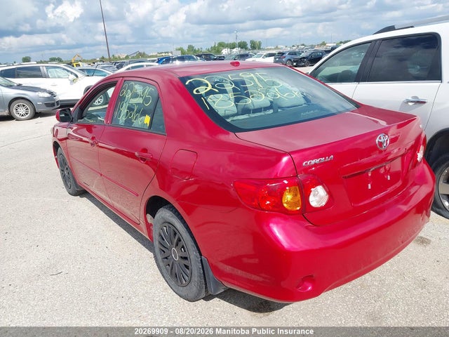 2010 Toyota Corolla Ce მანქანა იყიდება აუქციონზე, vin: 2T1BU4EE2AC210177, აუქციონის ნომერი: 20269909