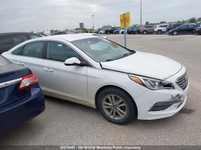5NPE24AF8FH131604 Hyundai SONATA GL