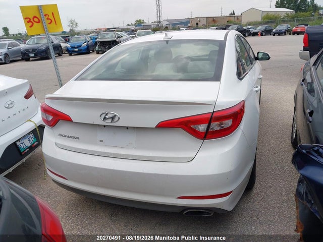 5NPE24AF8FH131604 Hyundai SONATA GL