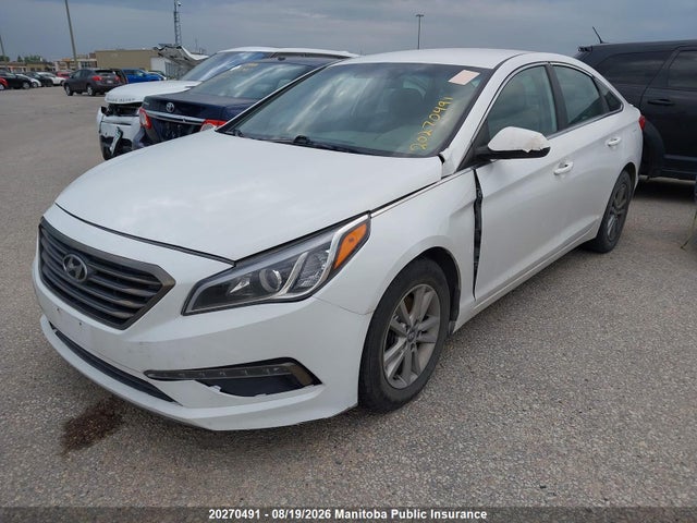 5NPE24AF8FH131604 Hyundai SONATA GL