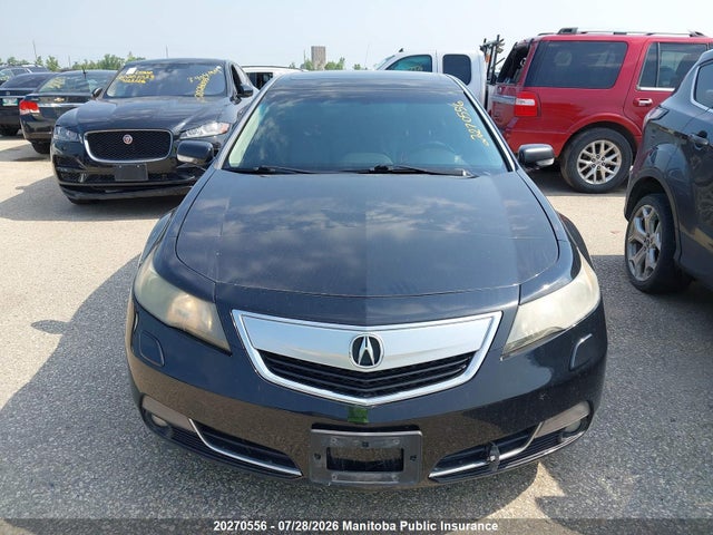 20270556 :رقم المزاد ، 19UUA9F51CA802725 vin ، 2012 Acura Tl مزاد بيع