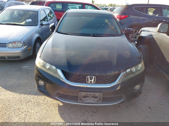 20271091 :رقم المزاد ، 1HGCT1B75DA800055 vin ، 2013 Honda Accord Ex مزاد بيع