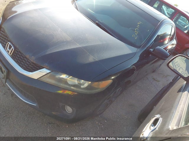 20271091 :رقم المزاد ، 1HGCT1B75DA800055 vin ، 2013 Honda Accord Ex مزاد بيع