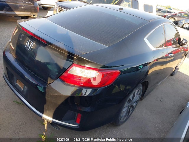 20271091 :رقم المزاد ، 1HGCT1B75DA800055 vin ، 2013 Honda Accord Ex مزاد بيع